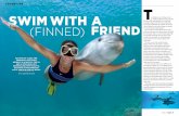 SWIM WITH A T (FINNED) FRIEND - Ibo Island Lodge · you’d normally only see in glossy adverts for idyllic beach escapes. There we were, breathing through our snorkels, gazing into