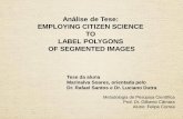 Análise de Tese: EMPLOYING CITIZEN SCIENCE TO LABEL ...ess.inpe.br/.../fetch.php?media=wiki:user:analise... · Citizen Science Citizen Science is the term used for projects relaying
