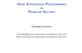 GENE EXPRESSION PROGRAMMING IN PROBLEM SOLVING€¦ · 1 GENE EXPRESSION PROGRAMMING IN PROBLEM SOLVING Cândida Ferreira candidaf@gene-expression-programming.com