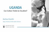 UGANDA - UNCTAD | Home€¦ · Uganda is Poised for High Yields •Excellent rainfall •Ideal weather for cotton •Ideal heat units •Good soil fertility •Very good quality •Short