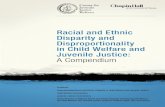 Racial and Ethnic Disparity and Disproportionality in ...Mar 14, 2008  · 2 Racial and Ethnic Disparity and Disproportionality in Child Welfare and Juvenile Justice: A Compendium
