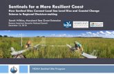 Sentinels for a More Resilient Coast€¦ · NOAA Sentinel Site Program Sentinels for a More Resilient Coast How Sentinel Sites Connect Local Sea Level Rise and Coastal Change Science