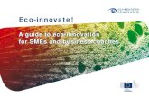 eco-innovation observatory Eco-innovate!ois.sebrae.com.br/wp-content/uploads/2015/02/sme_guide.pdf · Eco-innovate! A guide to eco-innovation for SMEs and business coaches. This guide