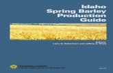 Spring Barley prod guide - Ag Research · IDAHO SPRING BARLEY PRODUCTION GUIDE Introduction Larry D. Robertson and Jeffrey C. Stark Spring barley is an important crop in Idaho with