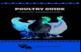 POULTRY GUIDE · egg production at about 1 egg/hen every 2 days for dual purpose breeds, or 3 eggs/ hen every 4 days for Leghorns. Species Age Space Bird/m 2 Ft 2 /Bird Chickens 0