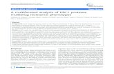A multifaceted analysis of HIV-1 protease multidrug ... · 398 clinical isolates of HIV-1 protease measured against the nine clinically-approved HIV-1 protease inhibitors. To determine