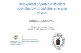 Development of protease inhibitors against norovirus and ...regist2.virology-education.com/presentations/2018/... · Development of protease inhibitors against norovirus and other