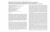 Neuron, Vol. 40, 97–111, September 25, 2003, Copyright ...€¦ · Neuron, Vol. 40, 97–111, September 25, 2003, ... Department of Cell Biology rons to a single progenitor domain