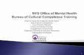 Cultural Competence: Planning, Implementation and Measurement · 2009. 12. 29. · Transform Clinical Standards & Skills Evidence-based Practices Service & Cross-Cultural Approaches