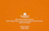 BEYOND COMPLIANCE: IMPLEMENTING COSO IN ......COSO) is a joint initiative of five private sector organizations, including The IIA, established in the United States. • The COSO Internal