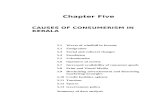 Causes of consumerism - Shodhgangashodhganga.inflibnet.ac.in/bitstream/10603/11594/12/12_chapter 5.p… · Summary of data analysis. Summing up CAUSES OF CONSUMERISM IN KERALA Consumption