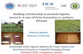 Building a Partnership to promote legume research: A case ...gl2016conf.iita.org/wp-content/uploads/2016/03/... · Pulse Agronomy & PVS Soil management . Post-harvest & Household