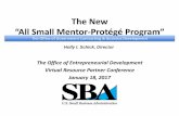 “All Small Mentor Protégé Program”...•Financial Assistance (in the form of equity investments and/or loans) •Contracting Assistance ( contracting processes, capabilities