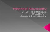 Irritation or damage to nerves outside Causes difficulty ... · Peripheral Neuropathy Author: Evelyn Created Date: 8/6/2015 6:33:07 PM ...