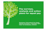 Pay surveys, analysis and action plans for equal pay pay surveys, analysis and action plans for equal