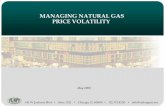 MANAGING NATURAL GAS PRICE VOLATILITY · 2017. 9. 8. · MANAGING NATURAL GAS PRICE VOLATILITY May 2008 ... On a daily basis, the price risk and opportunity of an energy or ... Utilize
