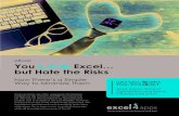 eBook You Love but Hate the Risks - Excel4appscollateral.excel4apps.com/documents/Love-Excel-E-Book-E4A.pdf · the core system into Excel it becomes a potential liability. But this