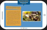 BOLETIM DIGITAL - UFSM · 2019. 2. 5. · Tetos Verdes - ECOTELHADO” e “Minicurso de Plantas Medicinais”, um projeto de ex-tensão do Colégio Politécnico. No terceiro e último
