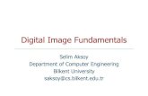 Digital Image Fundamentals - Bilkent Universitysaksoy/courses/cs484-Spring... · Image representation In a digital image, both the coordinates and the image value become discrete