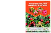 Production Technology of · and designing Sh. Sanjay Patil, IcaR-cIah, bikaner First edition : May, 2018 Address : IcaR-central Institute for arid horticulture, Sriganganagar Road,