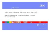 IBM Tivoli Storage Manager and SAP DB Backup/Restore ... · 8 IBM Tivoli Storage Manager and SAP DB ... § SuSE Linux Enterprise Server 8 for IA32 and IA64 § Windows NT/2000 ...