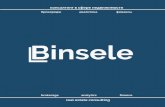 Binsele - cdn.freelance.ru · консалтинг в сфере недвижимости real estate consulting ˜˚˛˝˙ˆˇ˘ ˜˛˚ˆ ˝˚ ˝ «˚ˇ ˜ » . ˚ - GBA - 18 000