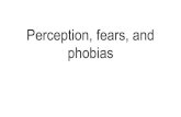 Perception, fears, and phobiascashdan/evpsych/... · Perception fears & phobias: Outline We have seen how perceptual and emotional mechanisms help us to: 1. Recognize and respond