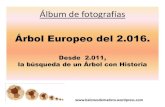 Árbol Europeo del 2.016. - WordPress.comÁlbum de fotografías Árbol Europeo del 2.016. Desde 2.011, ... los primeros colonos . Es un testimonio de las vidas de muchas generaciones