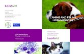CANINE AND FELINE LEISHMANIOSISleishvet.org/wp-content/uploads/2016/05/LeishVet-2edition.pdf · content canine leishmaniosis clinical manifestations 4 diagnosis 6 clinical staging