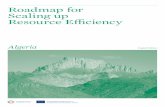 Roadmap for Scaling up Resource E≈ciency€¦ · In this sense, a roadmap for expanding or scaling up the results of MED TEST II is naturally in keeping with the spirit of the SCP