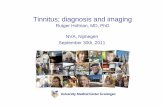 Tinnitus; diagnosis and imaging - ned-ver-audiologie.nl€¦ · 3. Weismann JL, Hirsch BE. Imaging of tinnitus; a review. Radiology 2000, 216; 342-9 4. Levine RA. Typewriter tinnitus: