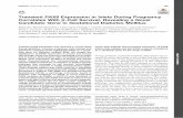 Transient PAX8 Expression in Islets During ... - Diabetes€¦ · Candidate Gene in Gestational Diabetes Mellitus Alejandro Martin-Montalvo,1 Livia López-Noriega,1 Carmen Jiménez-Moreno,1