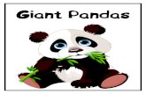 Giant Pandas - Deer Valley Unified School District€¦ · Baby Giant Pandas Other than marsupials, they are the smallest newborn mammal. Little giant pandas are white and about the