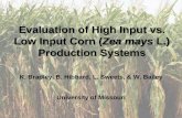 Evaluation of High Input vs. Low Input Corn (Zea mays L.) … · 2012. 6. 4. · Experiments to Evaluate High-input vs. Low-input Corn Production: Factors Evaluated 1.Near-isogenic