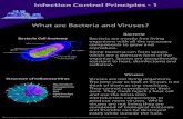 What are Bacteria and Viruses? - Majac Medical What are Bacteria and Viruses? Bacteria Bacteria are