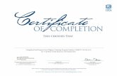 Completed Paid Preparer Due Diligence Training, Program ...Title: Form 15200 (1-2020) Author: SE:W:RICS:RCPPM:RCA Subject: Certificate of Completion \(Paid Preparer Due Diligence Training\)