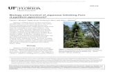 Biology and Control of Japanese Climbing Fern (Lygodium …ufdcimages.uflib.ufl.edu/IR/00/00/37/93/00001/FR28000.pdf · Biology and Control of Japanese Climbing Fern (Lygodium japonicum)