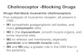 Cholinoceptor -Blocking Drugs...antimuscarinic drugs are well absorbed •Scopolamine is absorbed across the skin (transdermal). •Quaternary antimuscarinic drugs 10–30% of a dose