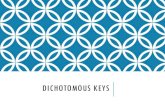 Using a Dichotomous Key - WordPress.com€¦ · DICHOTOMOUS KEYS A dichotomous key is a tool that allows the user to determine the identity organisms based on characteristics "Dichotomous"