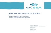 DICHOTOMOUS KEYS - Virginia Institute of Marine Science · 2020. 10. 1. · - If possible, laminate dichotomous keys (can be reused) and print out worksheets in advance (2 pages each,
