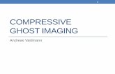 COMPRESSIVE GHOST IMAGING - uteero/SC/Compressive_ghost_imaging.pdf · Multicolor ghost imaging . Object ... pixel detectors," Opt. Express 21, 23068-23074 (2013). 1 million measurements!