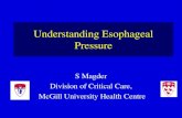 Understanding Esophageal Pressure · •Key for understanding “plateau pressure” –Work of breathing –Transmural pressure . Some reminders of respiratory physiology •Explain