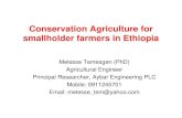 Conservation Agriculture for smallholder farmers in Ethiopia · Conservation agriculture •Principles (action based) –Minimum soil disturbance –Permanent soil cover –Crop rotation