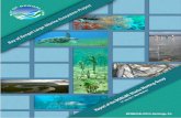 Workshop Report of the First meeting of the BOBLME ...The first workshop of the BOBLME Working Group on Sharks was held in the Maldives, from 5 to 7 July 2011, with participation from
