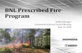 BNL Prescribed Fire Program · • Restoration of fire- adapted ecosystems. What is prescribed fire? •Controlled application of fire. •Conducted under specific weather conditions.