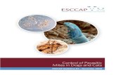ESCCAP guidelines Final - ESCCAP UK & Ireland · Demodex mites of dogs are considered to be physiological fauna of the skin and are found in small numbers on most dogs without any