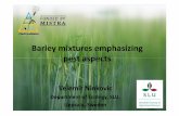 Barley mixtures emphasizing pest aspects · Proppp gortion aphids settling Kara mixed with Alva * When grown in mixture with other cultivars Kara mixed with Kara mixed with Frida