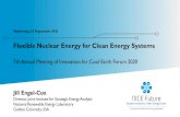 Flexible Nuclear Energy for Clean Energy Systems...Flexible Nuclear Energy for Clean Energy Systems 7th Annual Meeting of Innovation for Cool Earth Forum 2020 Jill Engel-Cox Director,
