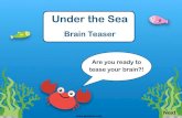 Under The Sea Brain Teaser · 2020. 4. 5. · Brain Teaser Next Are you ready to tease your brain?! Back Next = = = = + + + + = = = = + + + + = = = + + + + = + = + + Can you work