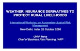 WEATHER INSURANCE DERIVATIVES TO PROTECT RURAL LIVELIHOODS · WEATHER INSURANCE DERIVATIVES TO PROTECT RURAL LIVELIHOODS International Workshop on Agrometeorological Risk Management